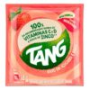 REFRESCO TANG TANGERINA 18G
