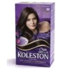 TINTA KOLESTON LOURO MD70