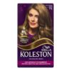 TINTA KOLESTON LOURO CZ81