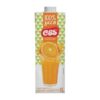 AGUA COCO MAIS COCO 1L
