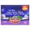 CHA CHILENO FRU VER MOR UVA STEVIA 22,5G