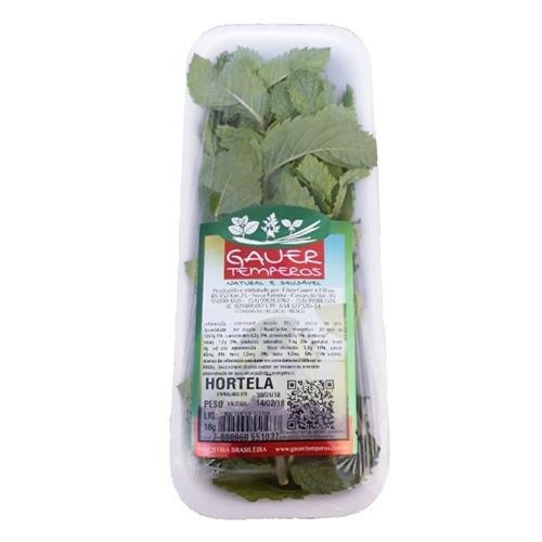 HORTI HORTELA GAUER TEMPE