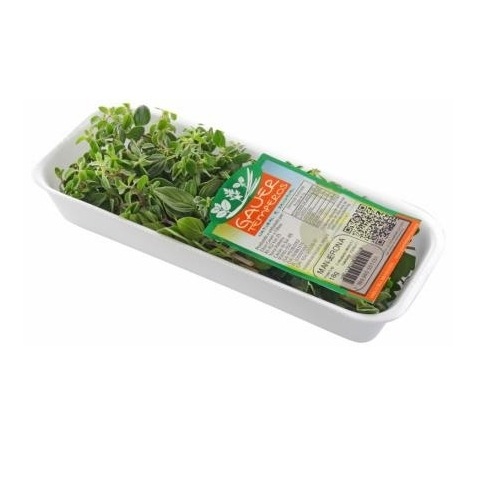 HORTI MANJERONA GAUER TE