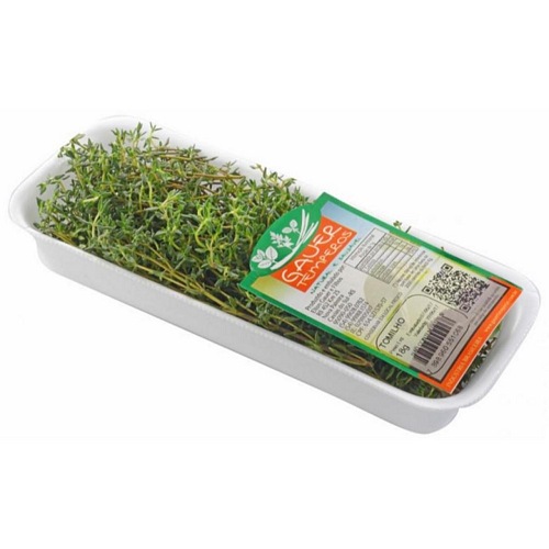HORTI TOMILHO GAUER TEMPE