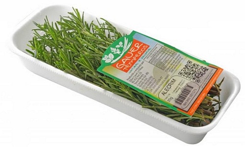 ALECRIN GAUER TEMPEROS 2