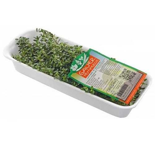 HORTI OREGANO GAUER TEMPE