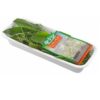 HORTI MANJERONA  GAUER TE